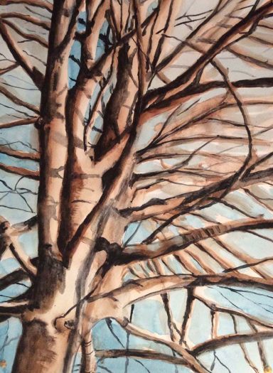 Baum an der Alz