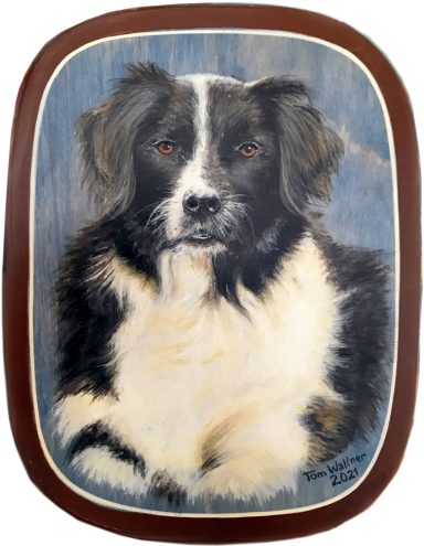 T. Wallner 2021. Border Collie. 15 x 20 cm