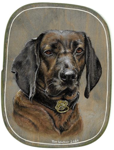 T. Wallner 2021 Jagdhund 15 x 20 cm